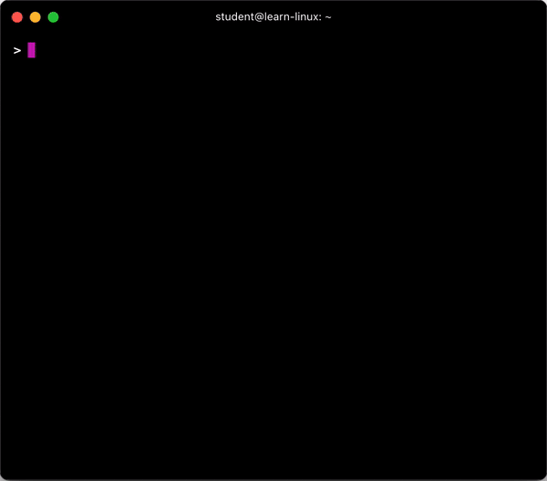 Linux Terminal